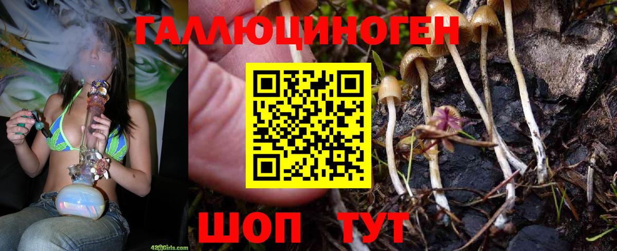 Галлюциногенные грибы Psilocybe  Вход с VPN  Псилоцибиновые грибы MAGIC MUSHROOMS  Шадринск 